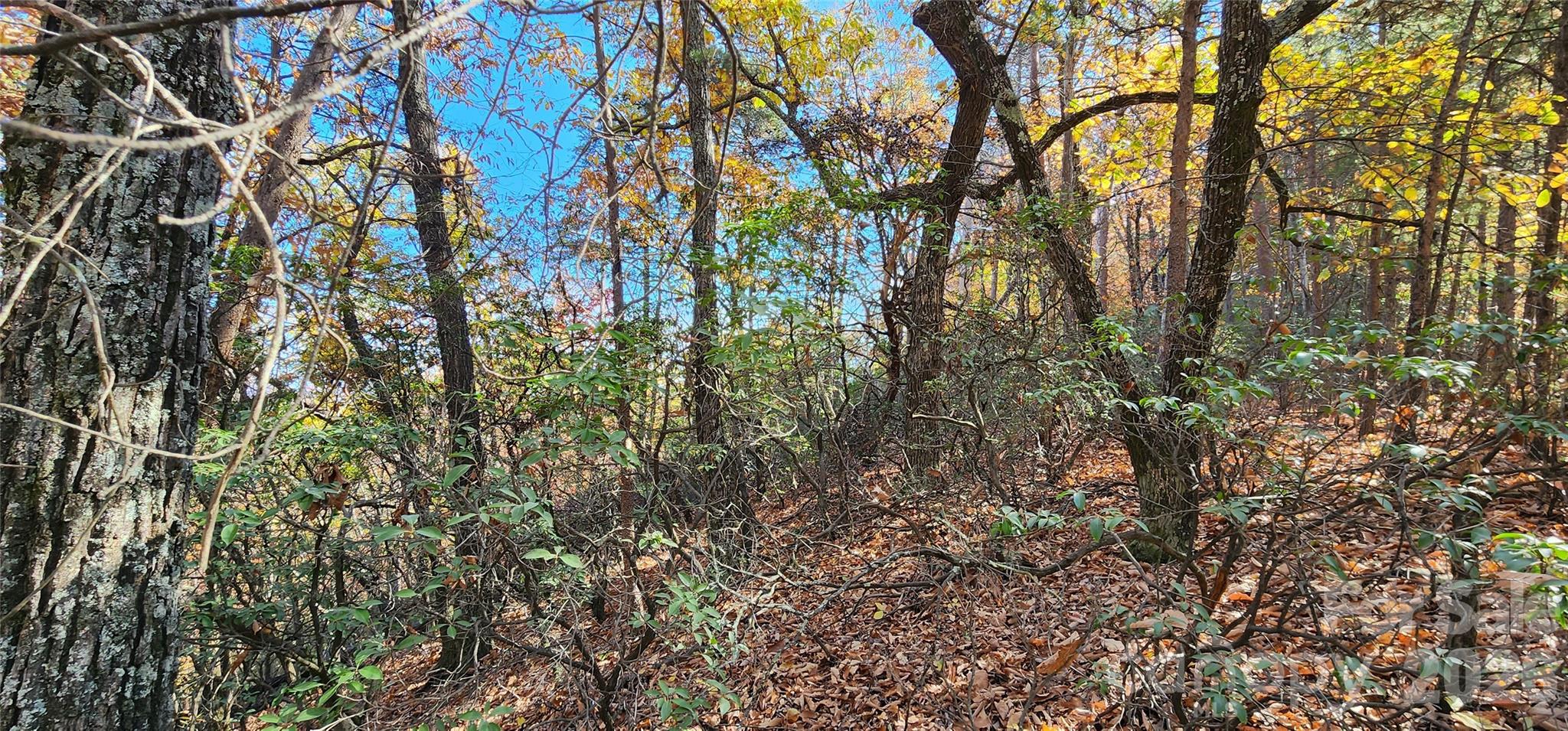 Lot 22 A Pinnacle Parkway 22 A Property Photo 1