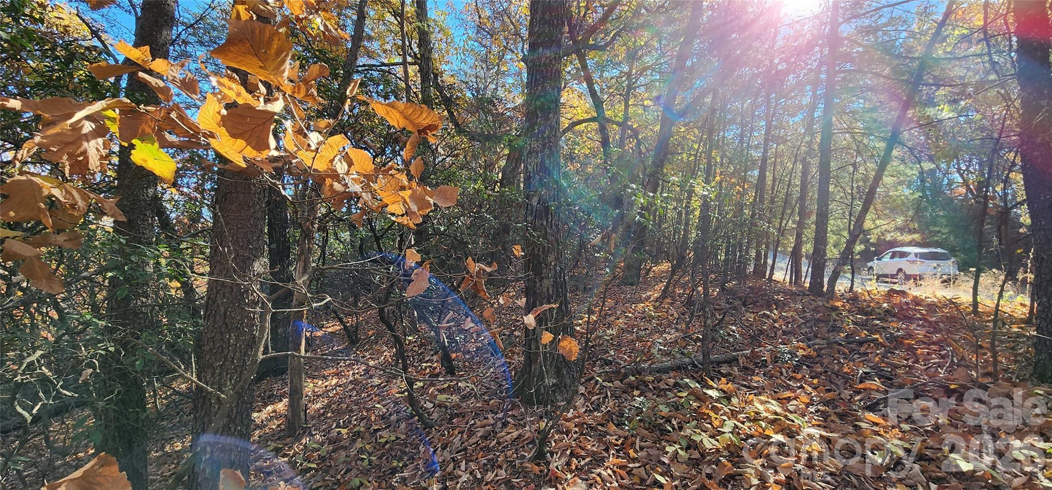 Lot 22 A Pinnacle Parkway 22 A Property Photo 2