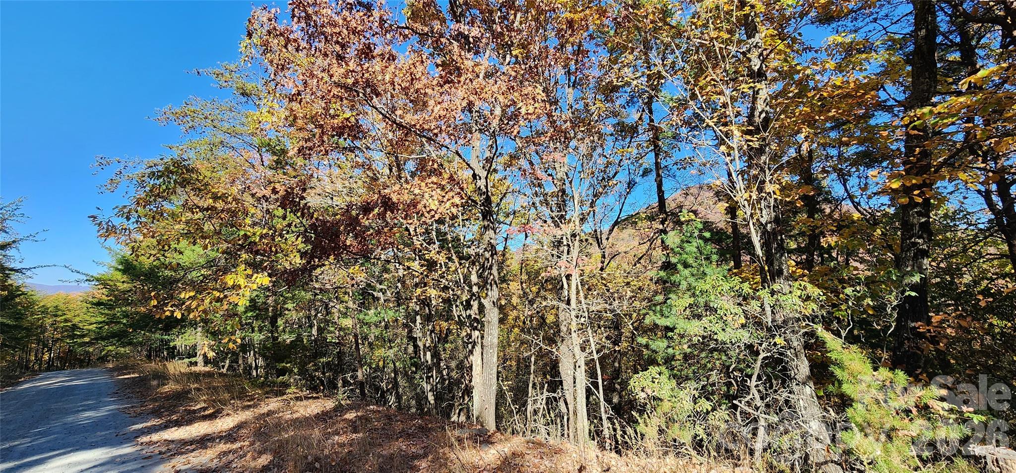Lot 22 A Pinnacle Parkway 22 A Property Photo 3