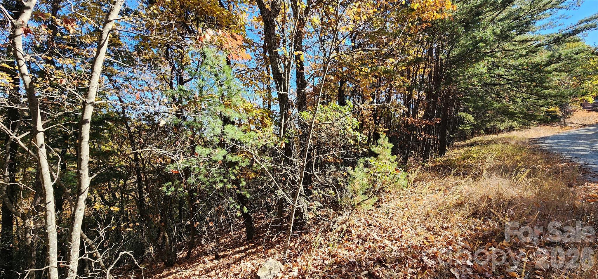 Lot 22 A Pinnacle Parkway 22 A Property Photo 4