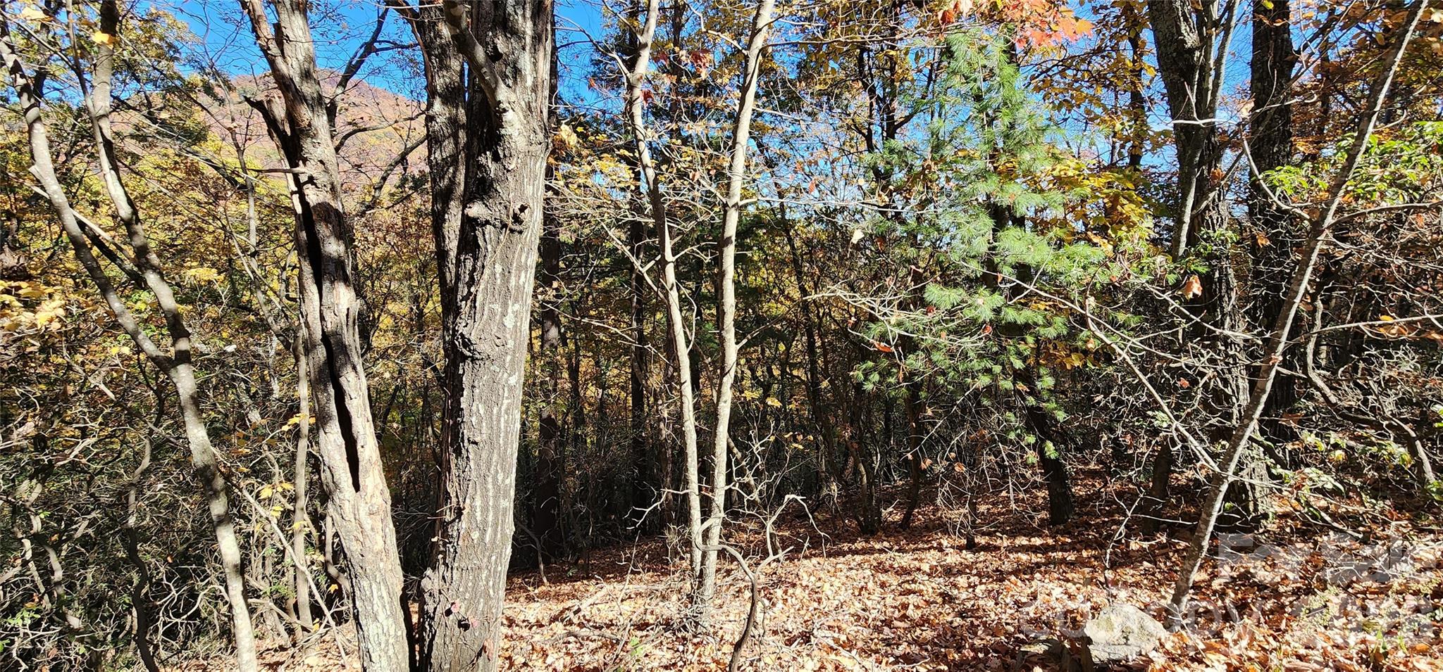 Lot 22 A Pinnacle Parkway 22 A Property Photo 5