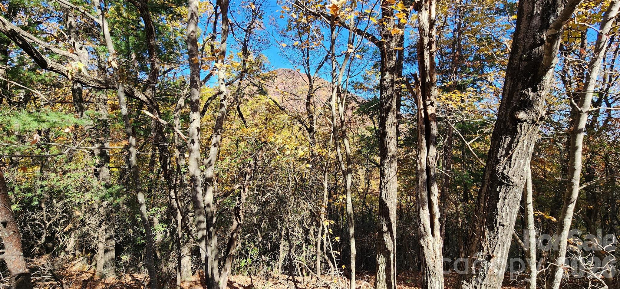 Lot 22 A Pinnacle Parkway 22 A Property Photo 6