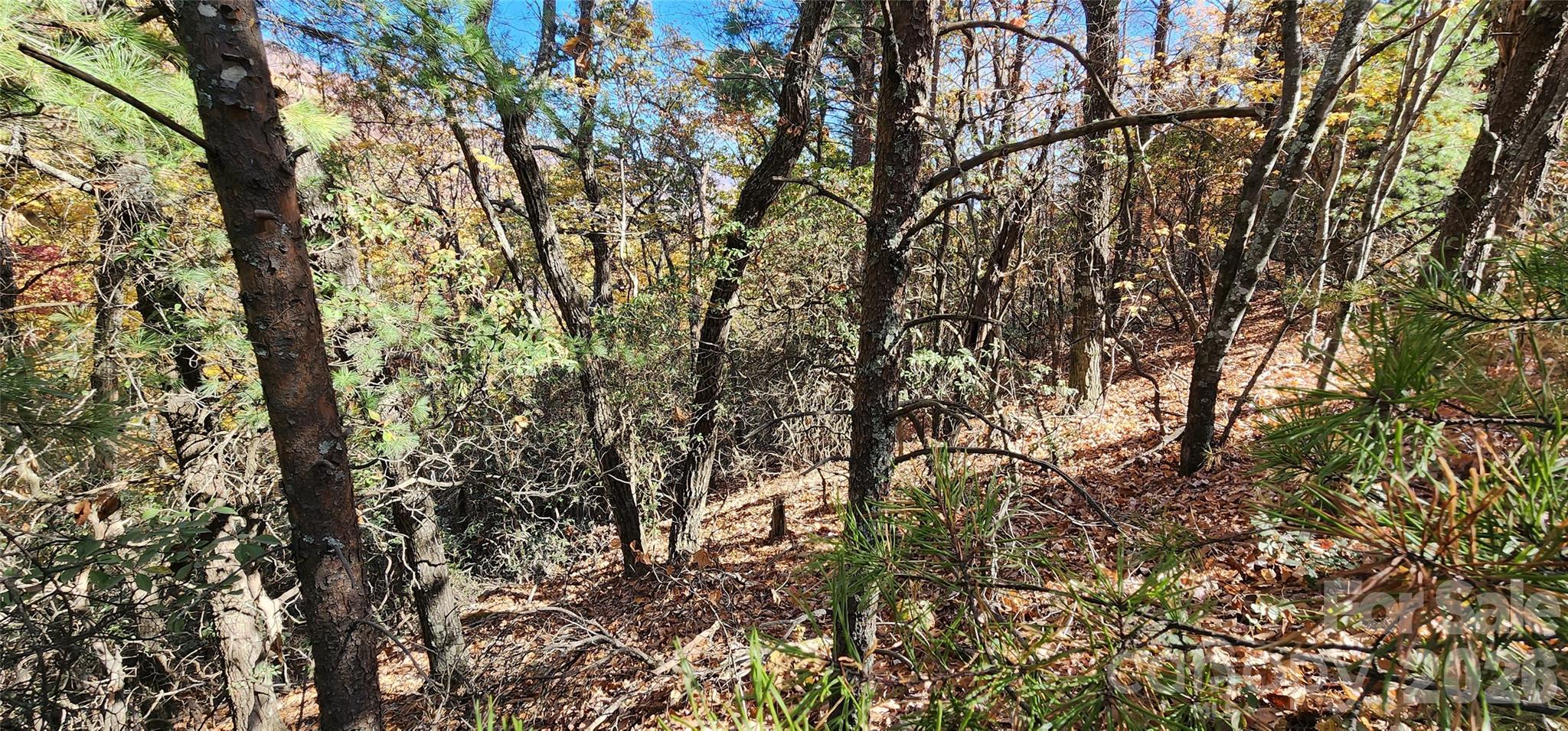 Lot 22 A Pinnacle Parkway 22 A Property Photo 7