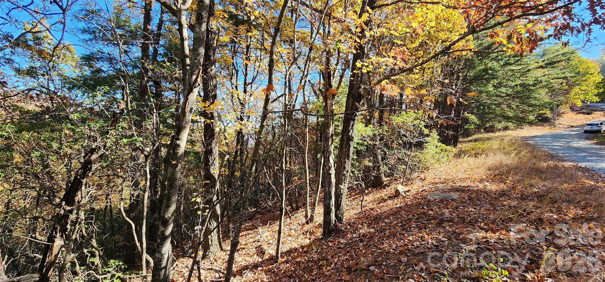 Lot 22 A Pinnacle Parkway 22 A Property Photo 8