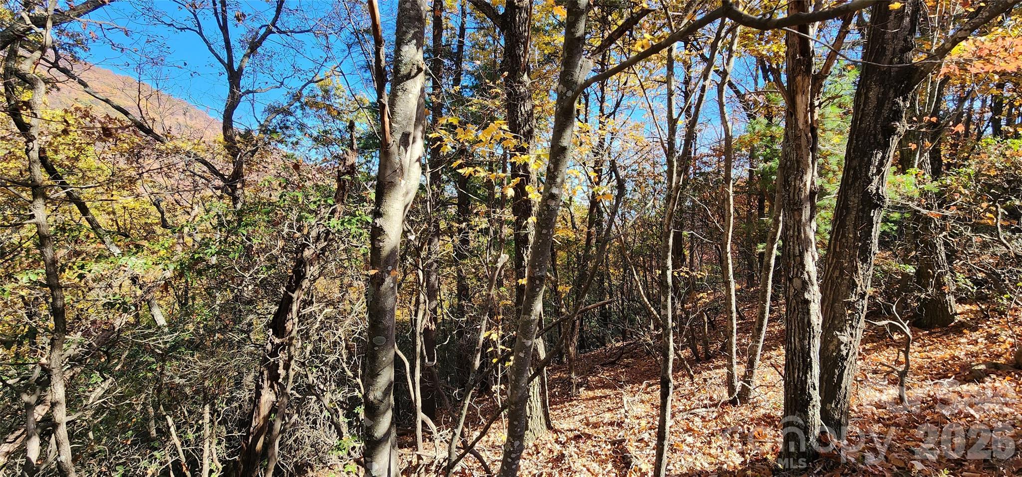 Lot 22 A Pinnacle Parkway 22 A Property Photo 9
