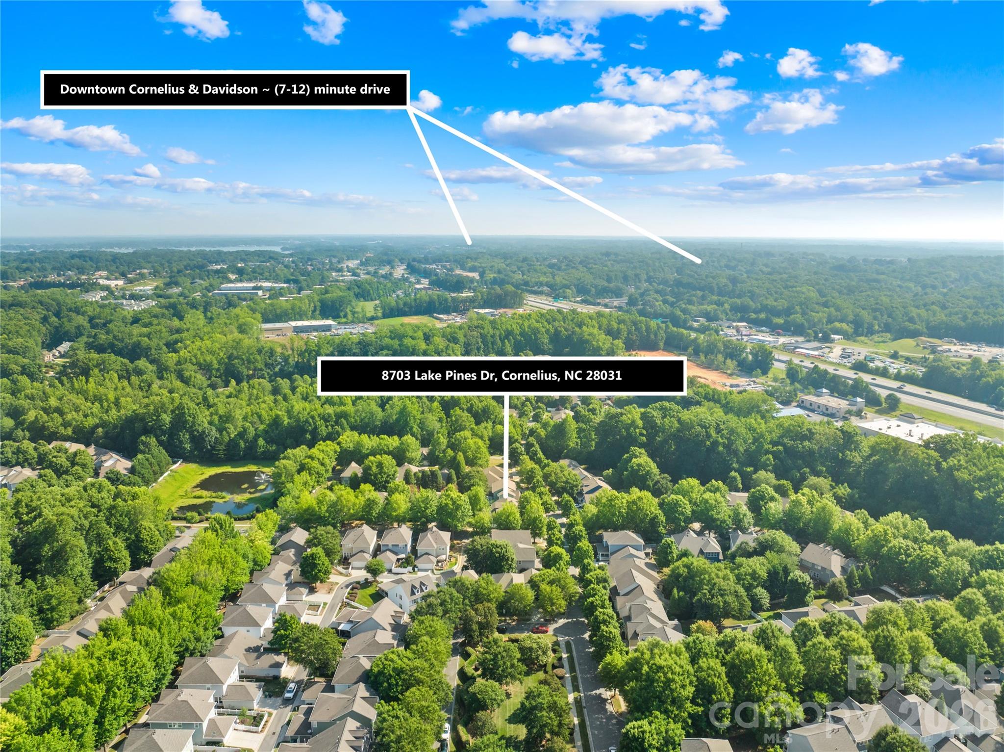 8703 Lake Pines Drive Property Photo 41