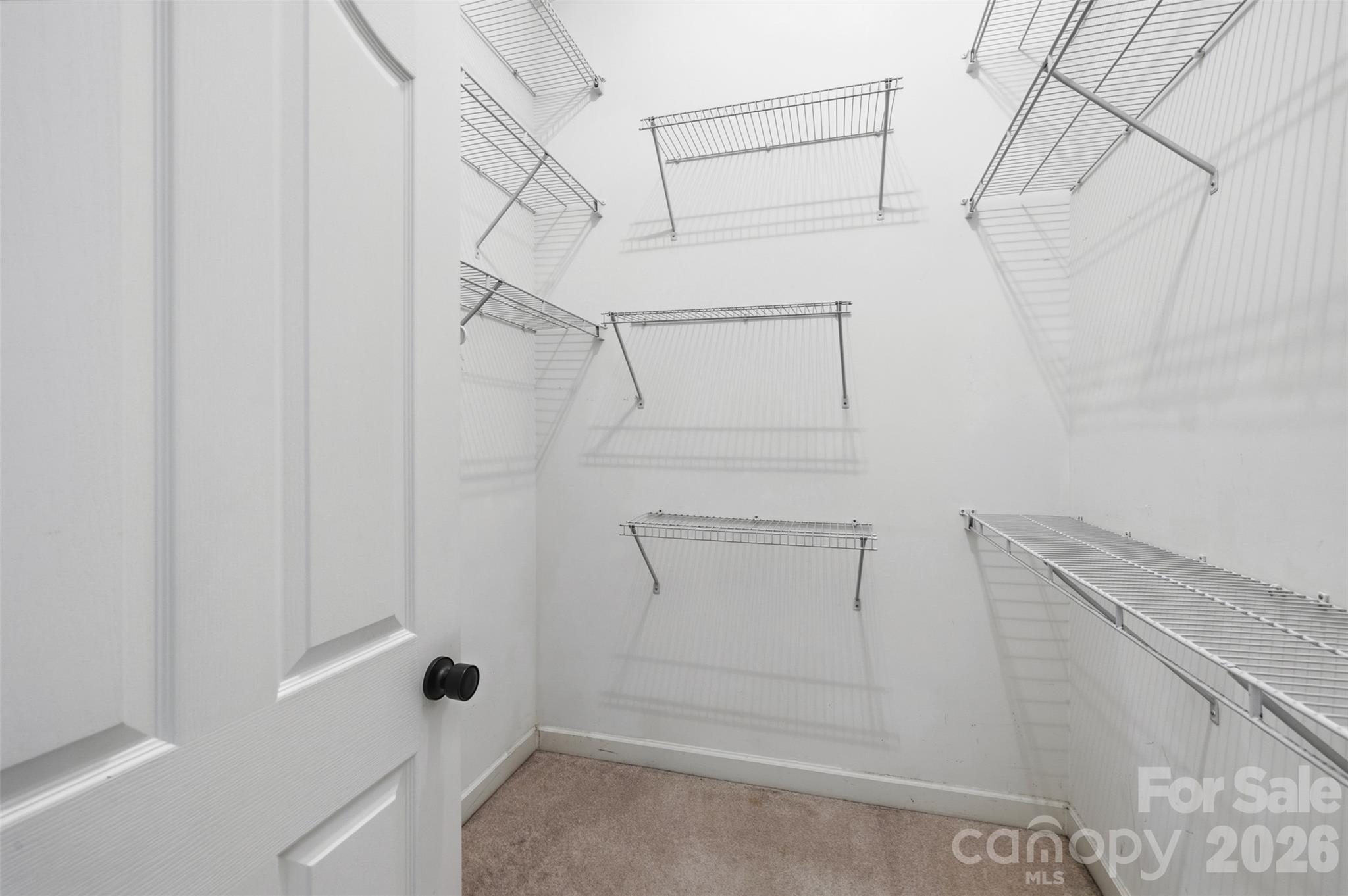 12324 Copper Mountain Boulevard Property Photo 18