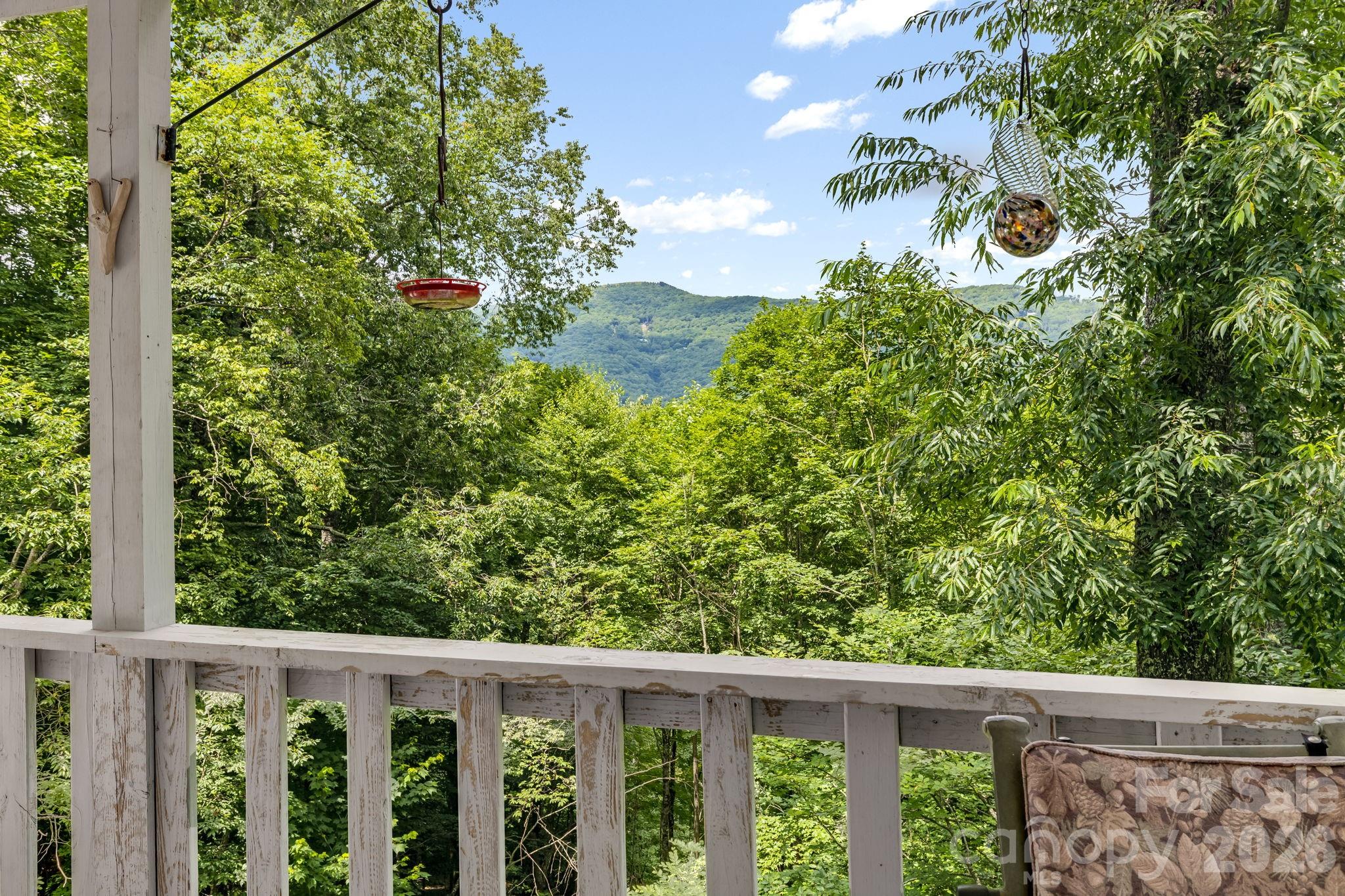 38 Bee Tree Lane Property Photo 18