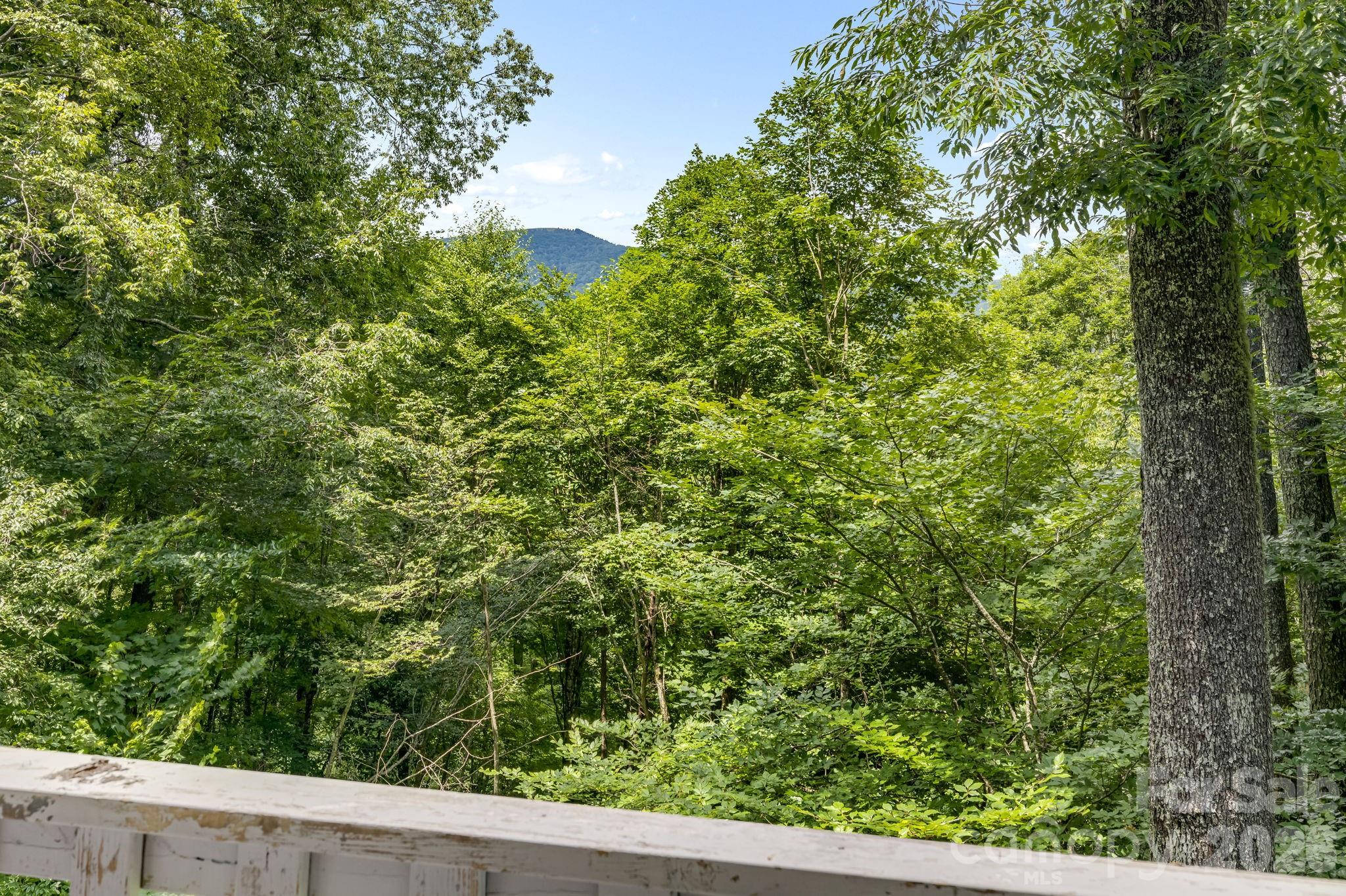 38 Bee Tree Lane Property Photo 28
