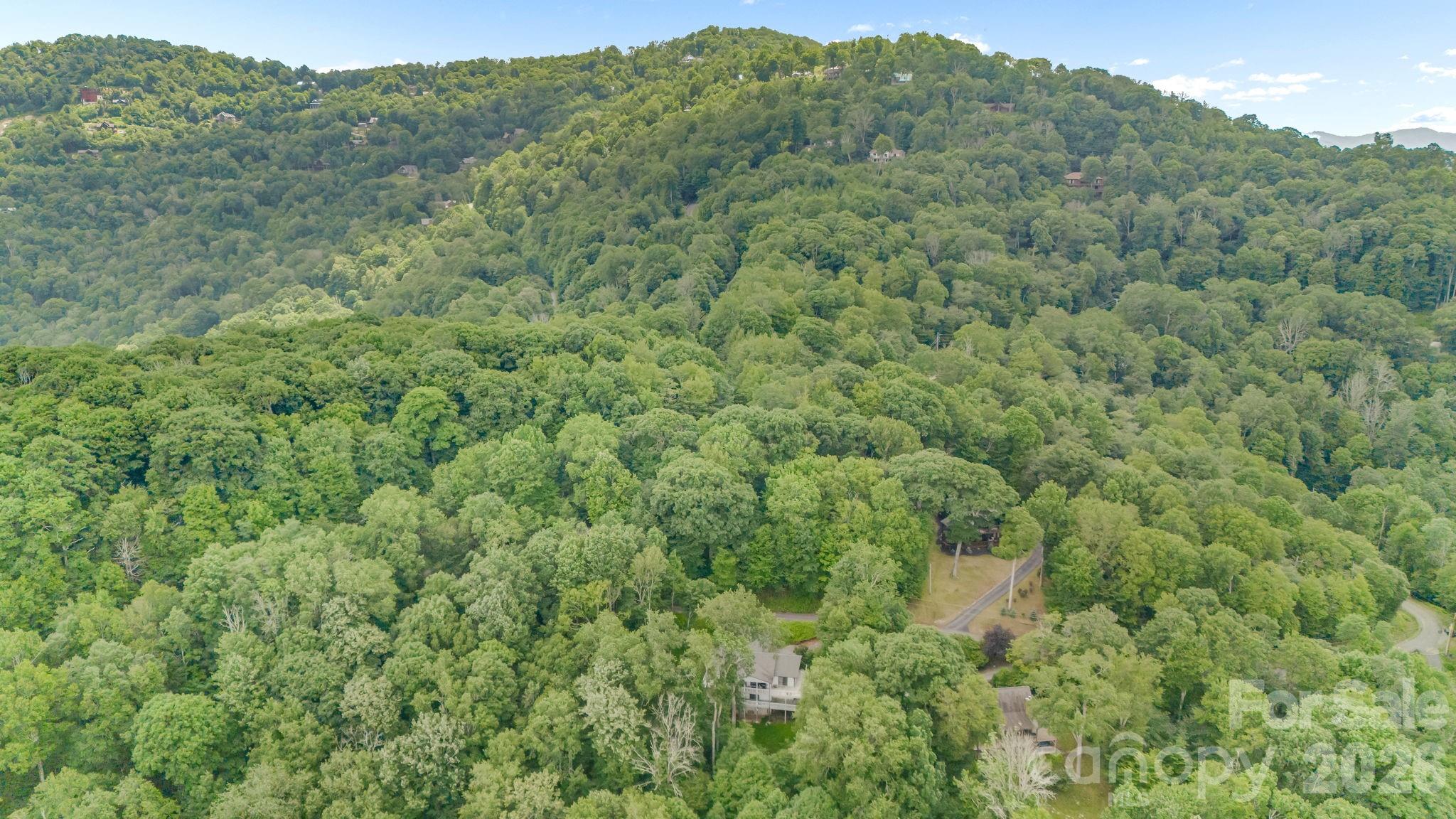 38 Bee Tree Lane Property Photo 33