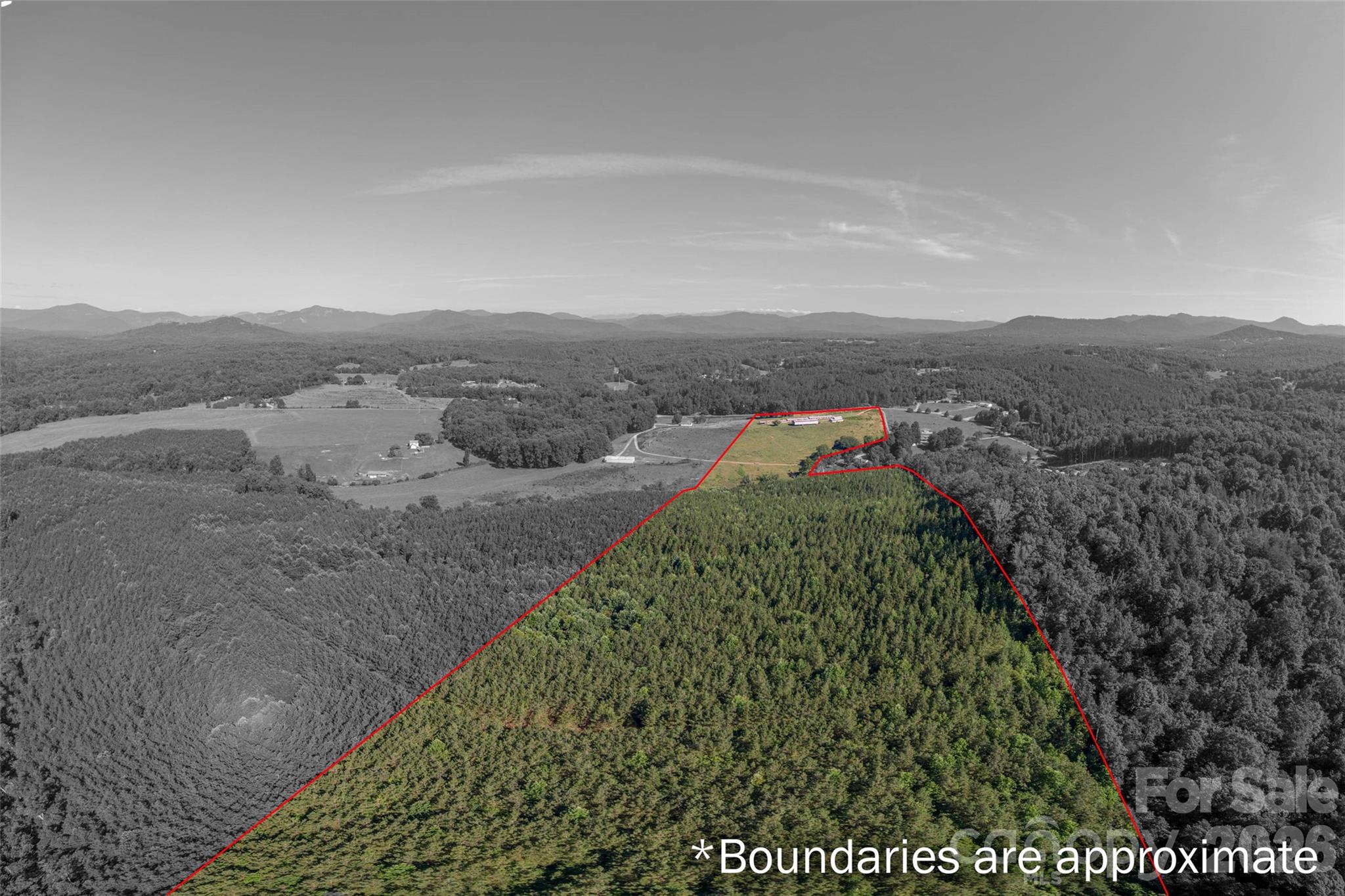 83 Acres +/- Pleasant Grove Road Property Photo 6