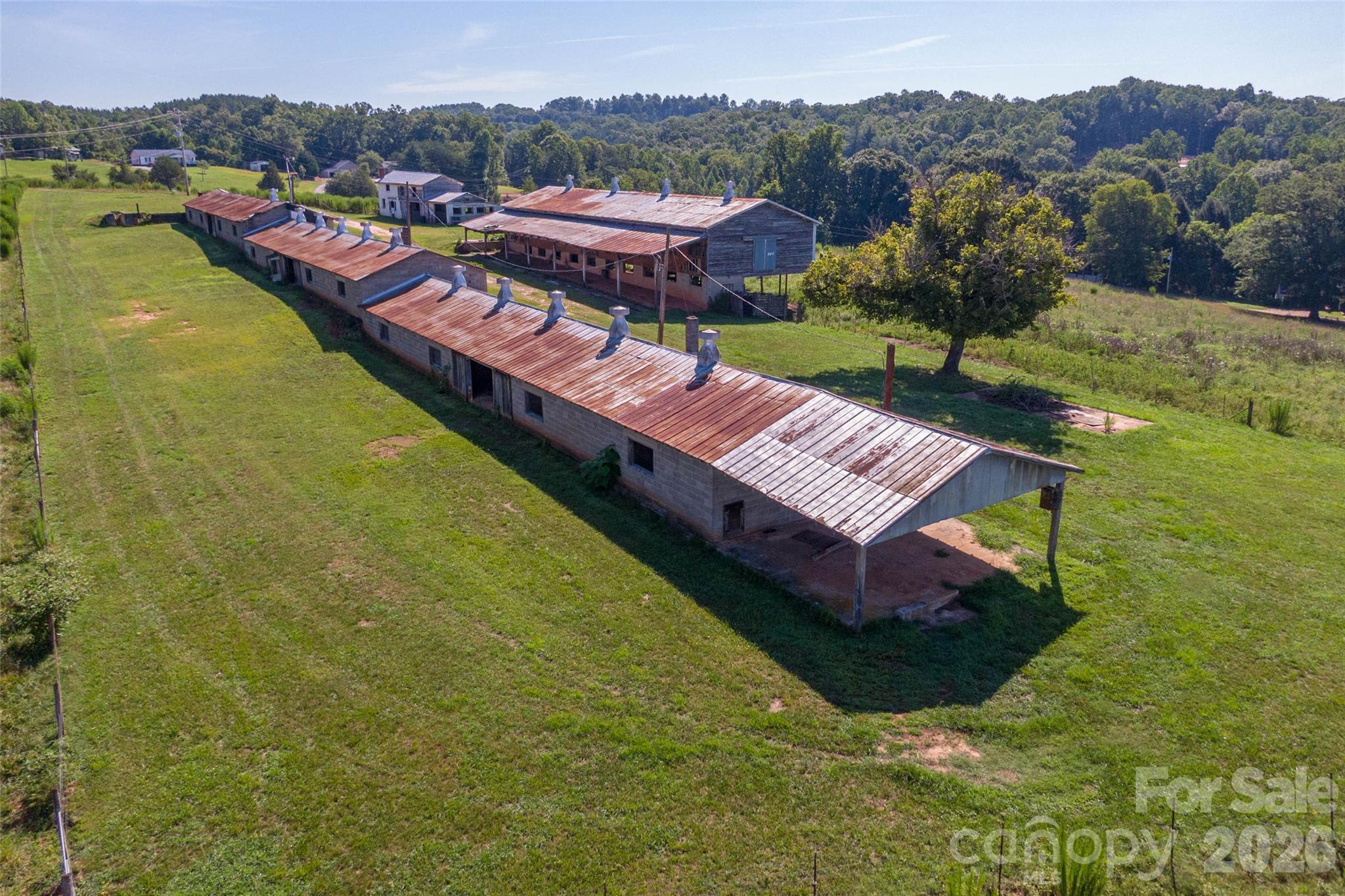 83 Acres +/- Pleasant Grove Road Property Photo 15