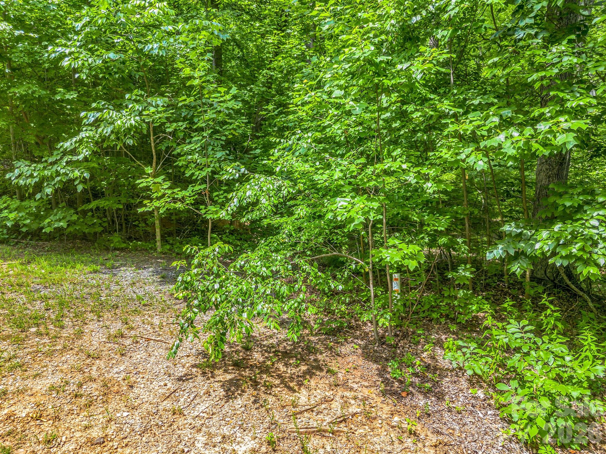 Lot 29 Matho Trace 29 Property Photo 4