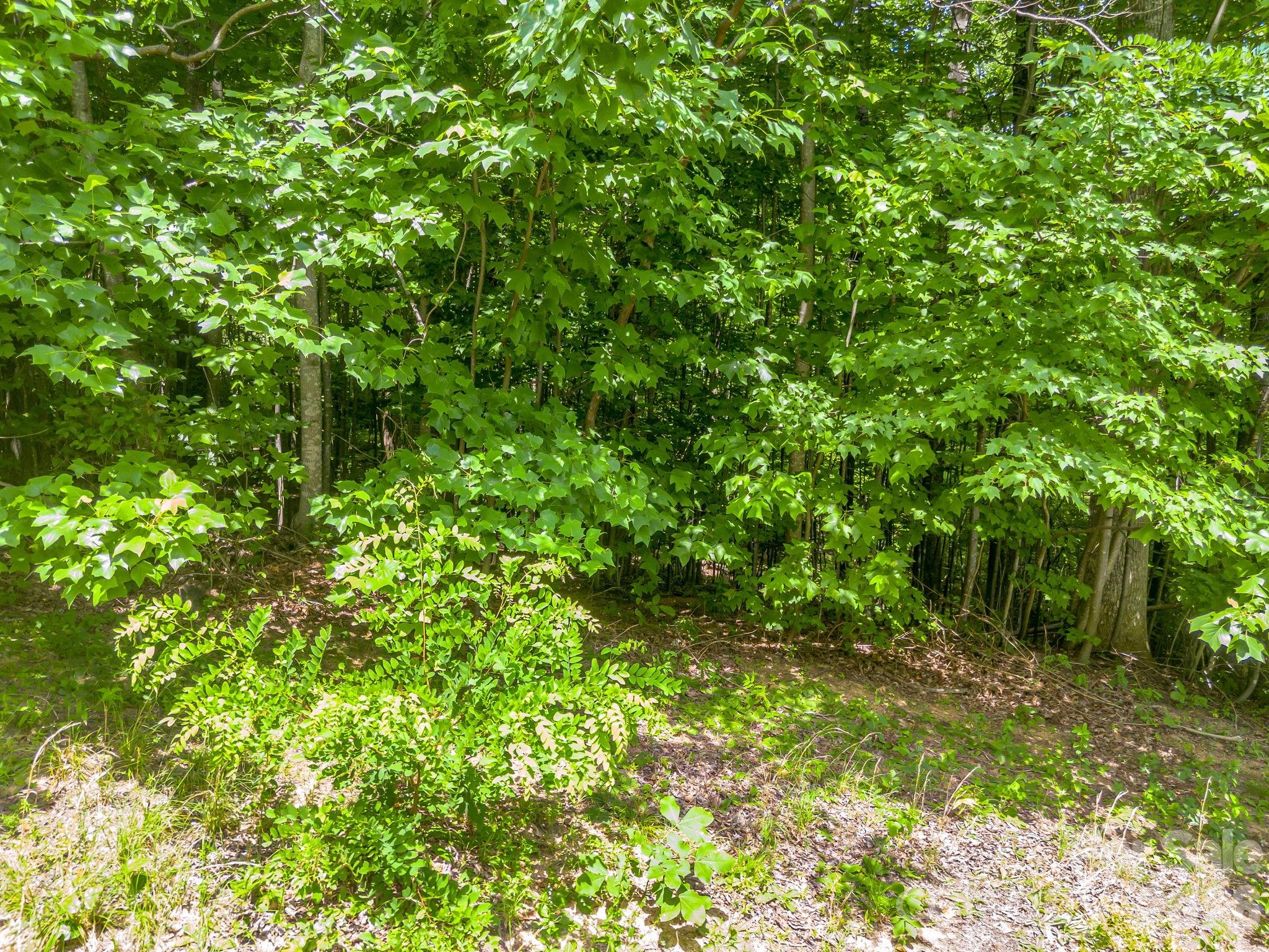 Lot 29 Matho Trace 29 Property Photo 5