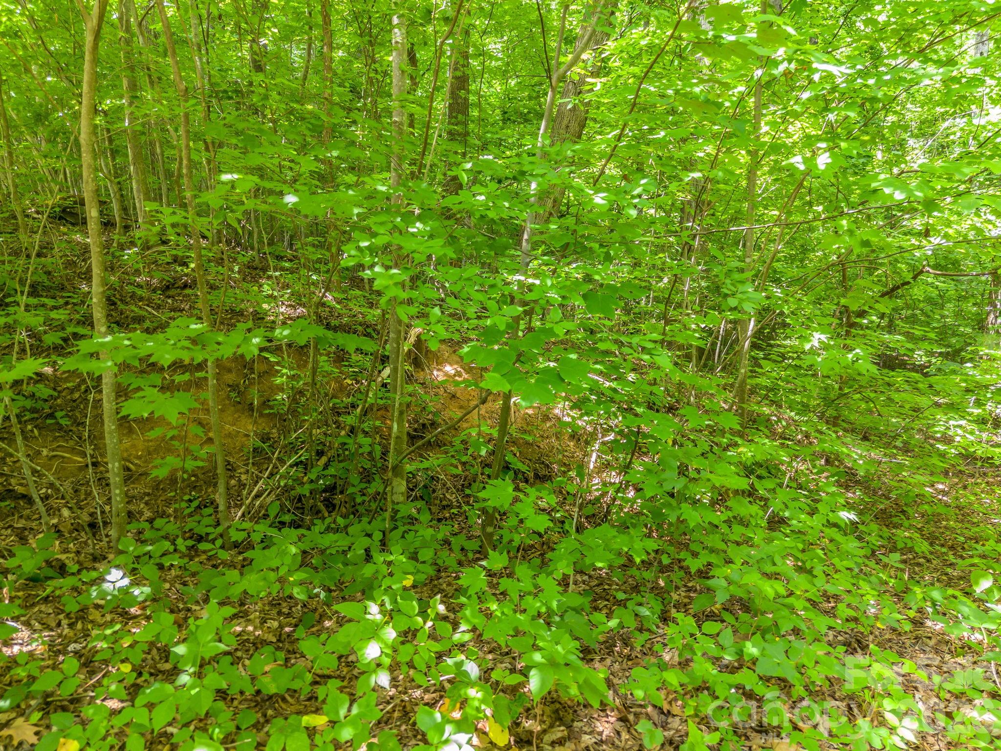 Lot 29 Matho Trace 29 Property Photo 6