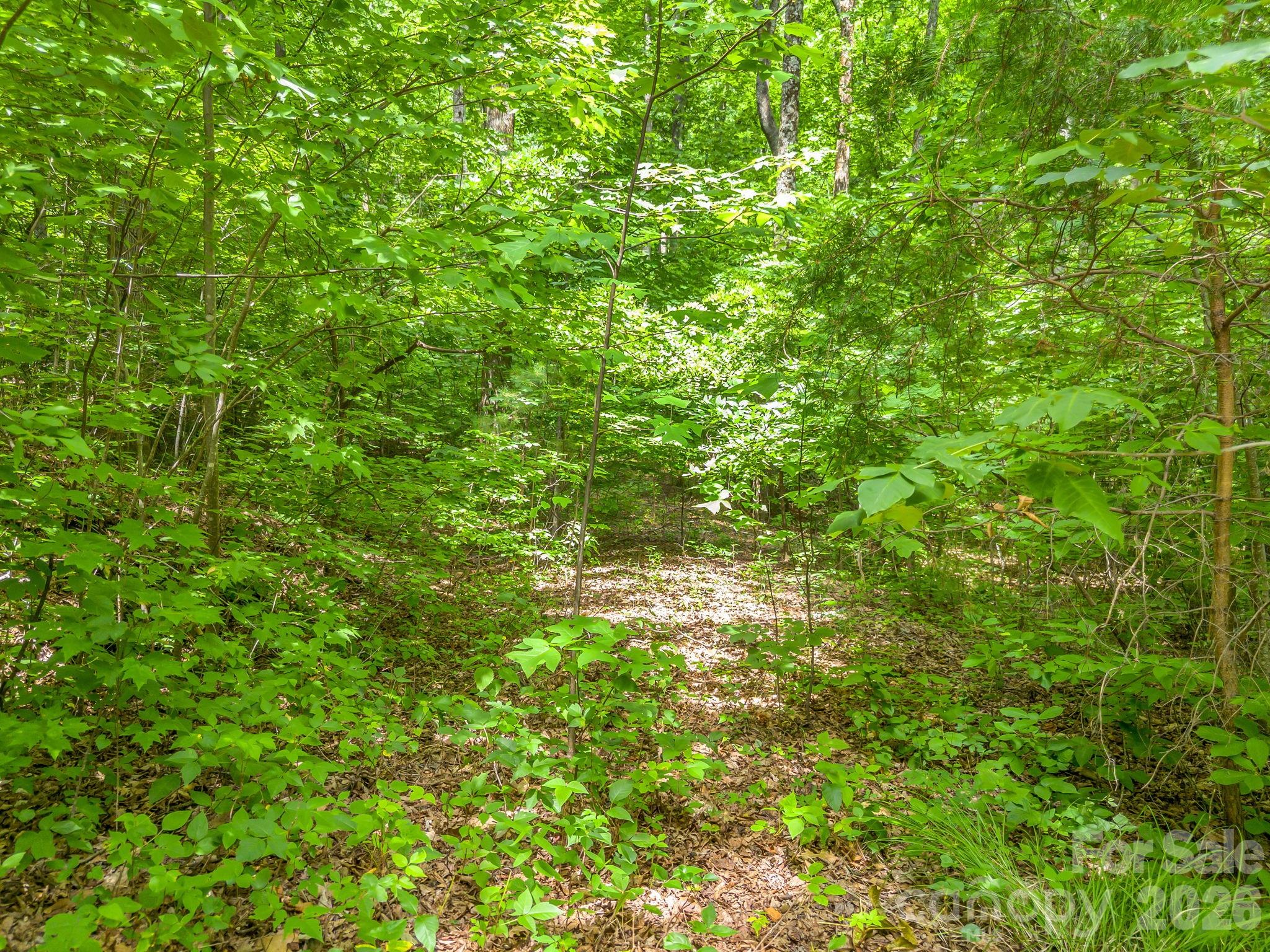 Lot 29 Matho Trace 29 Property Photo 8