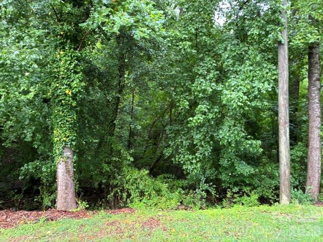 2.85 Acres +/- Kimbrell Lane Property Photo 5