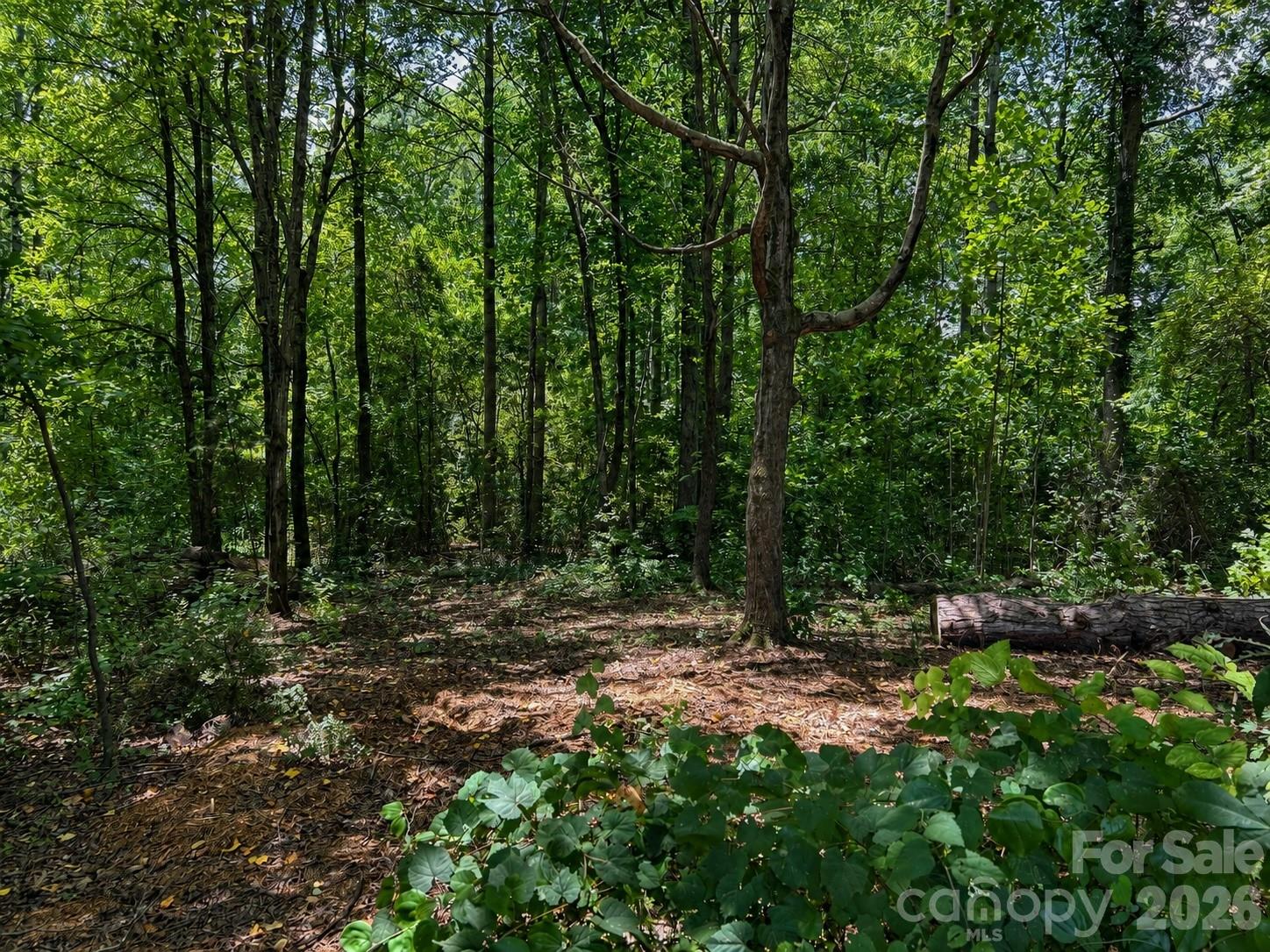 1115 N Business 16 Highway Property Photo 7