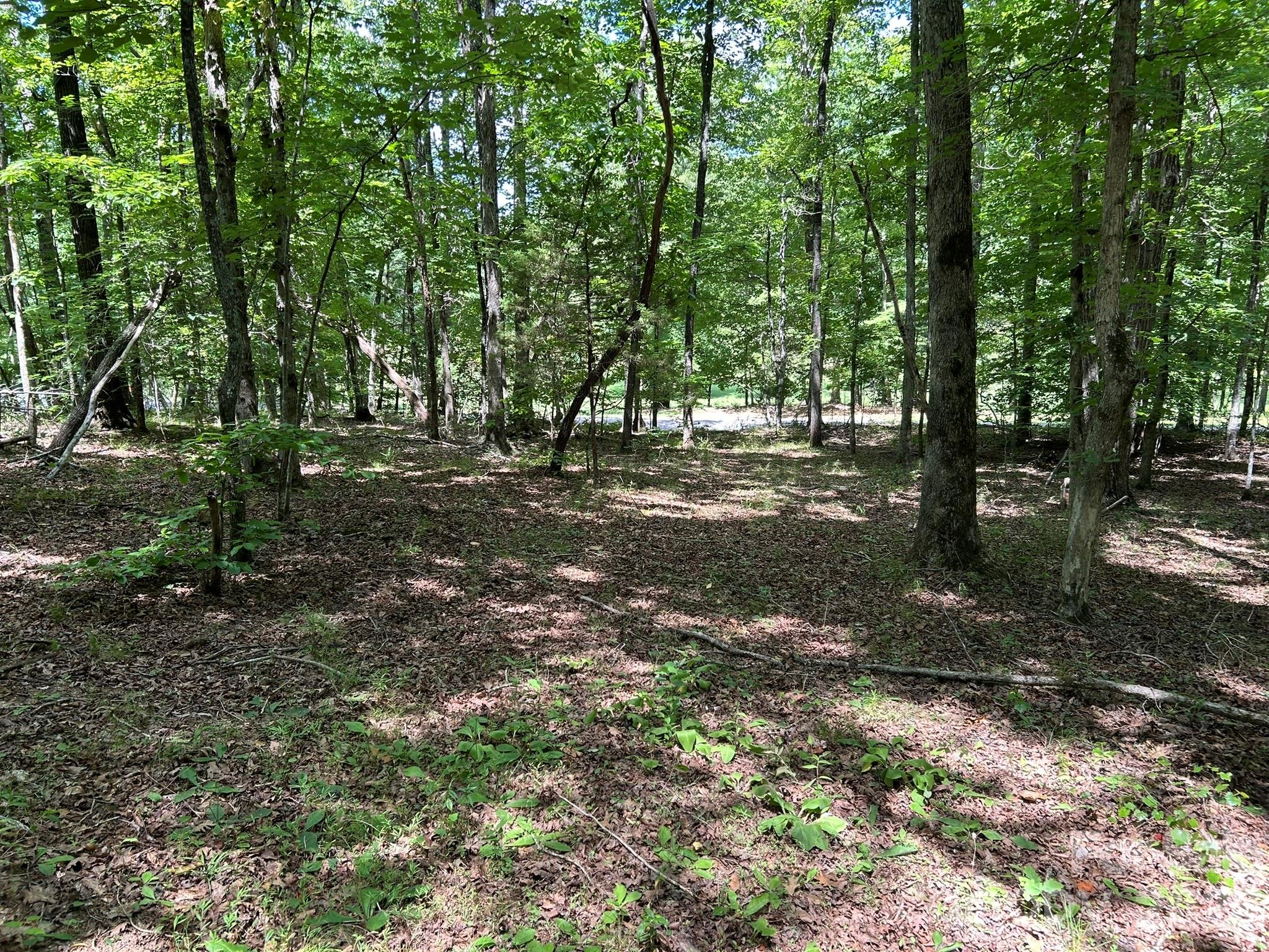 0 Wilderness Ridge 4 Property Photo 4