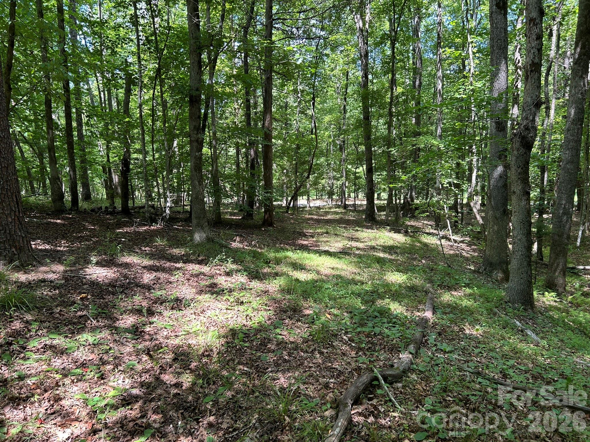 0 Wilderness Ridge 4 Property Photo 5