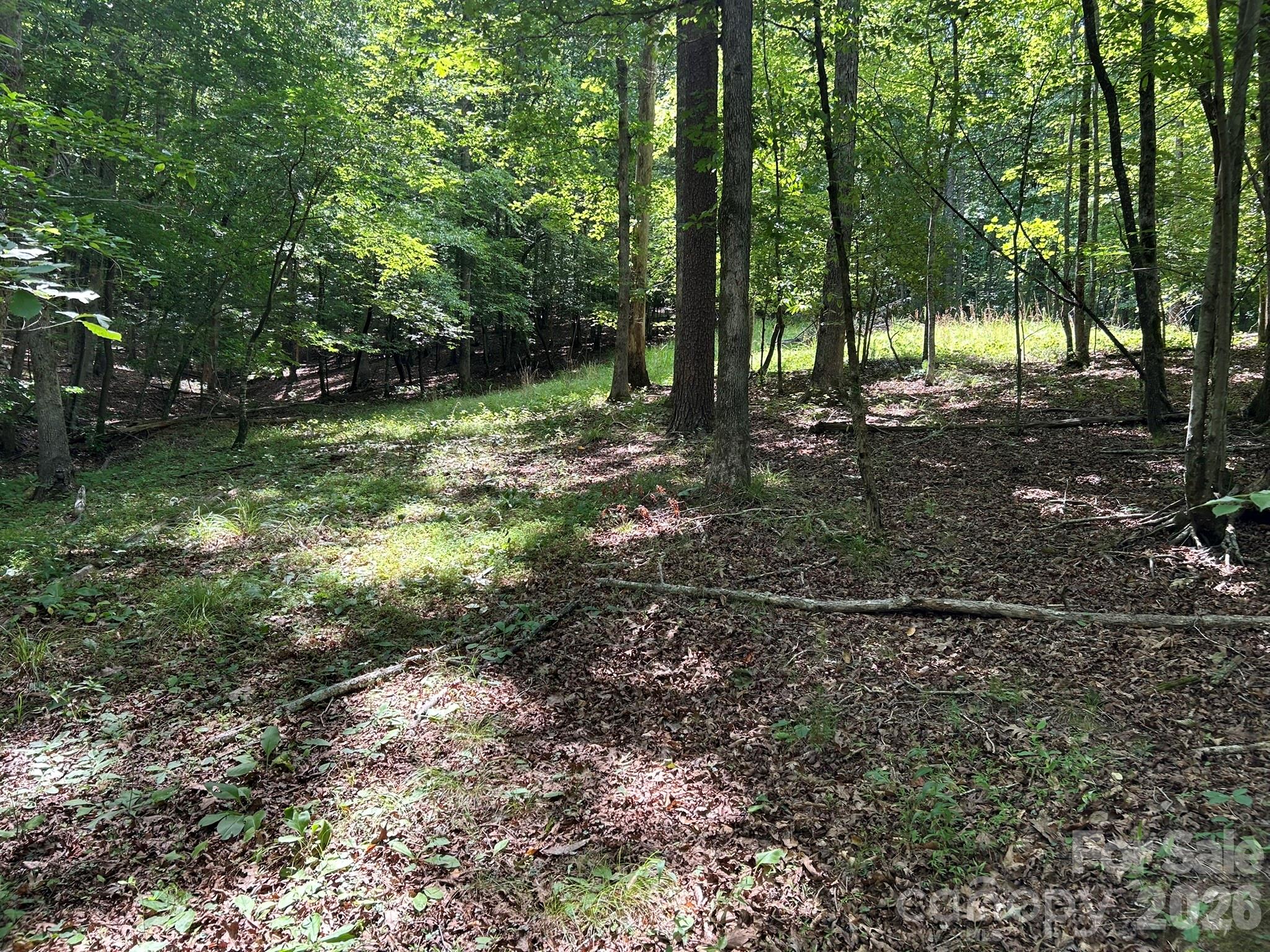 0 Wilderness Ridge 4 Property Photo 6