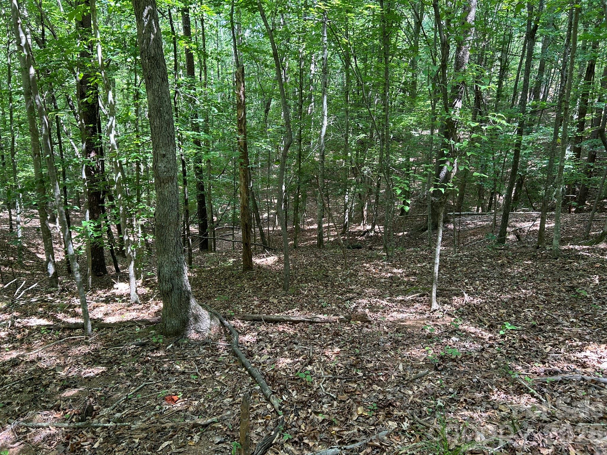 0 Wilderness Ridge 4 Property Photo 10