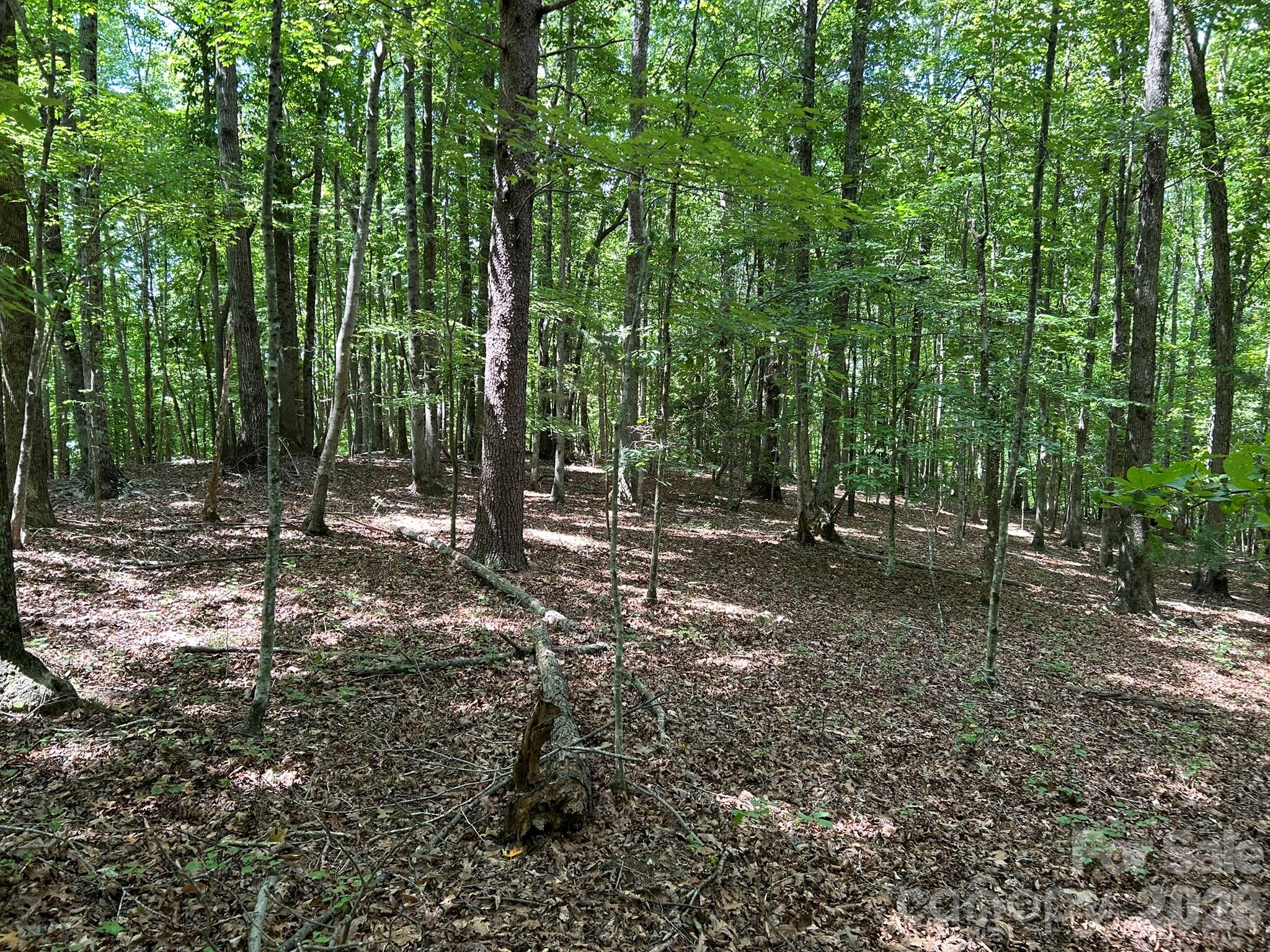 0 Wilderness Ridge 4 Property Photo 11