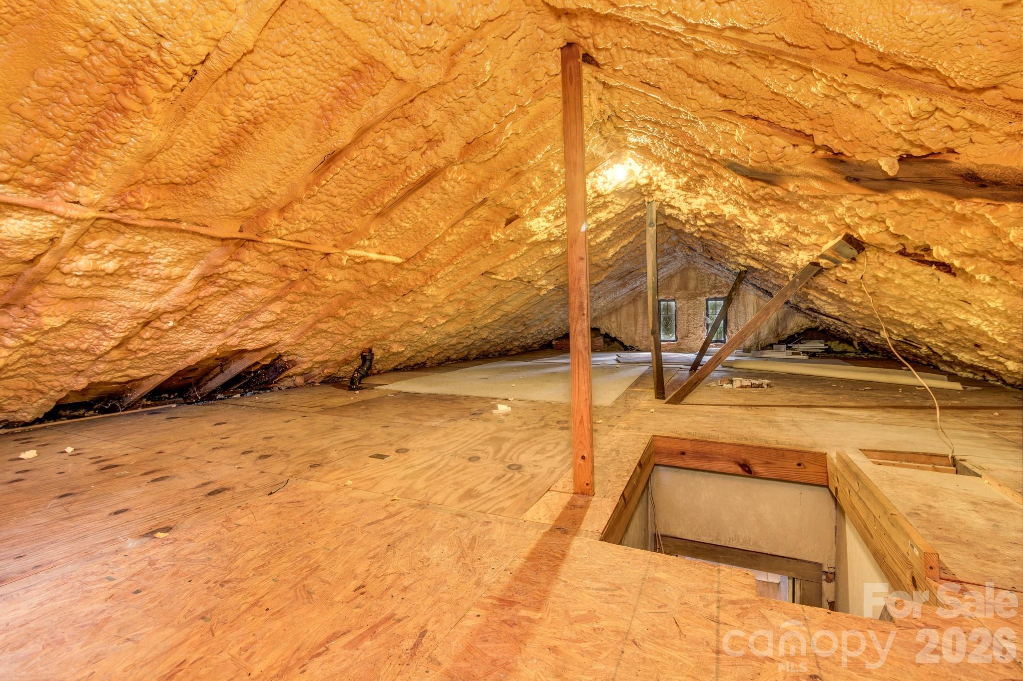 22 Fenner Avenue Property Photo 42