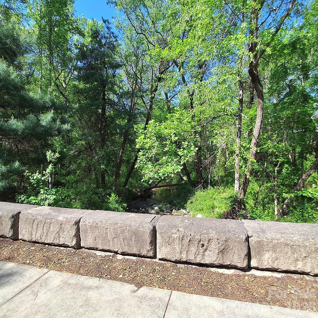 1405 Deermouse Way Property Photo 40