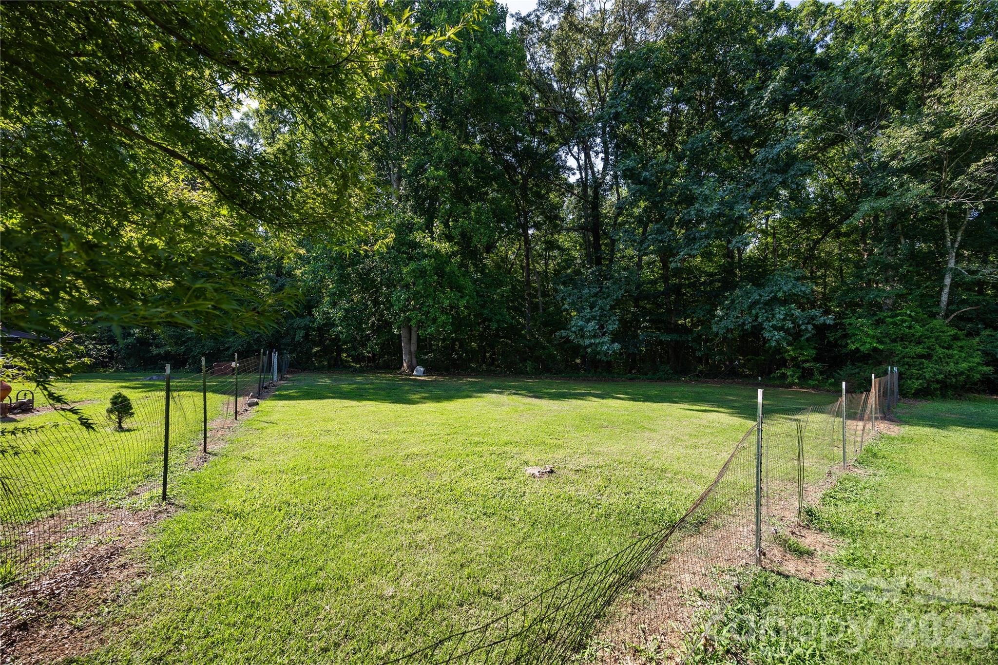 545 Mt. Shepherd Road Property Photo 45