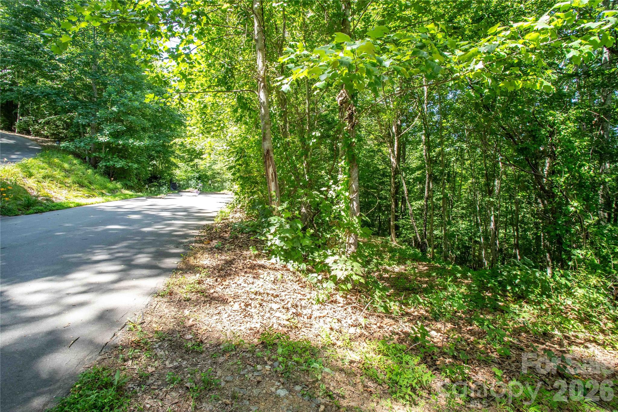 71 Timberwood Drive Property Photo 1