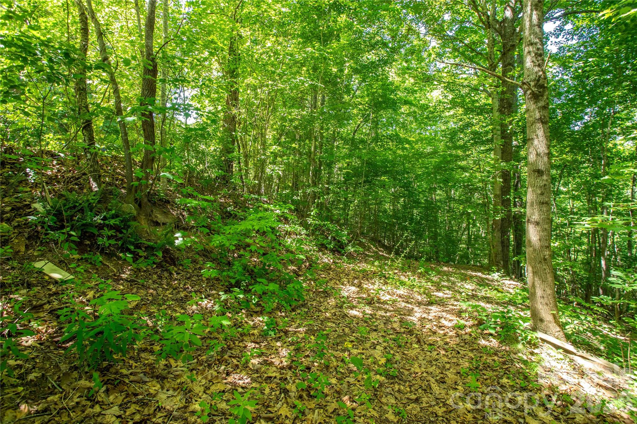 71 Timberwood Drive Property Photo 2