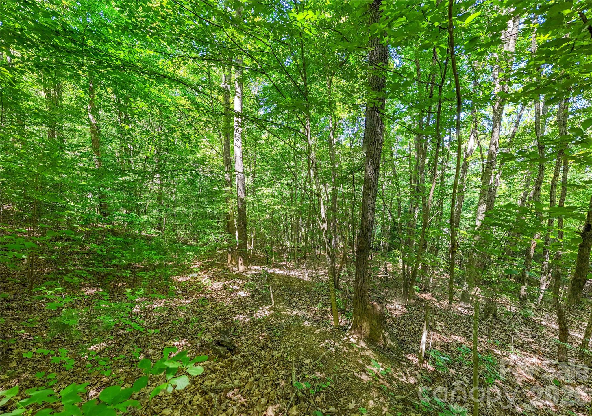 71 Timberwood Drive Property Photo 4
