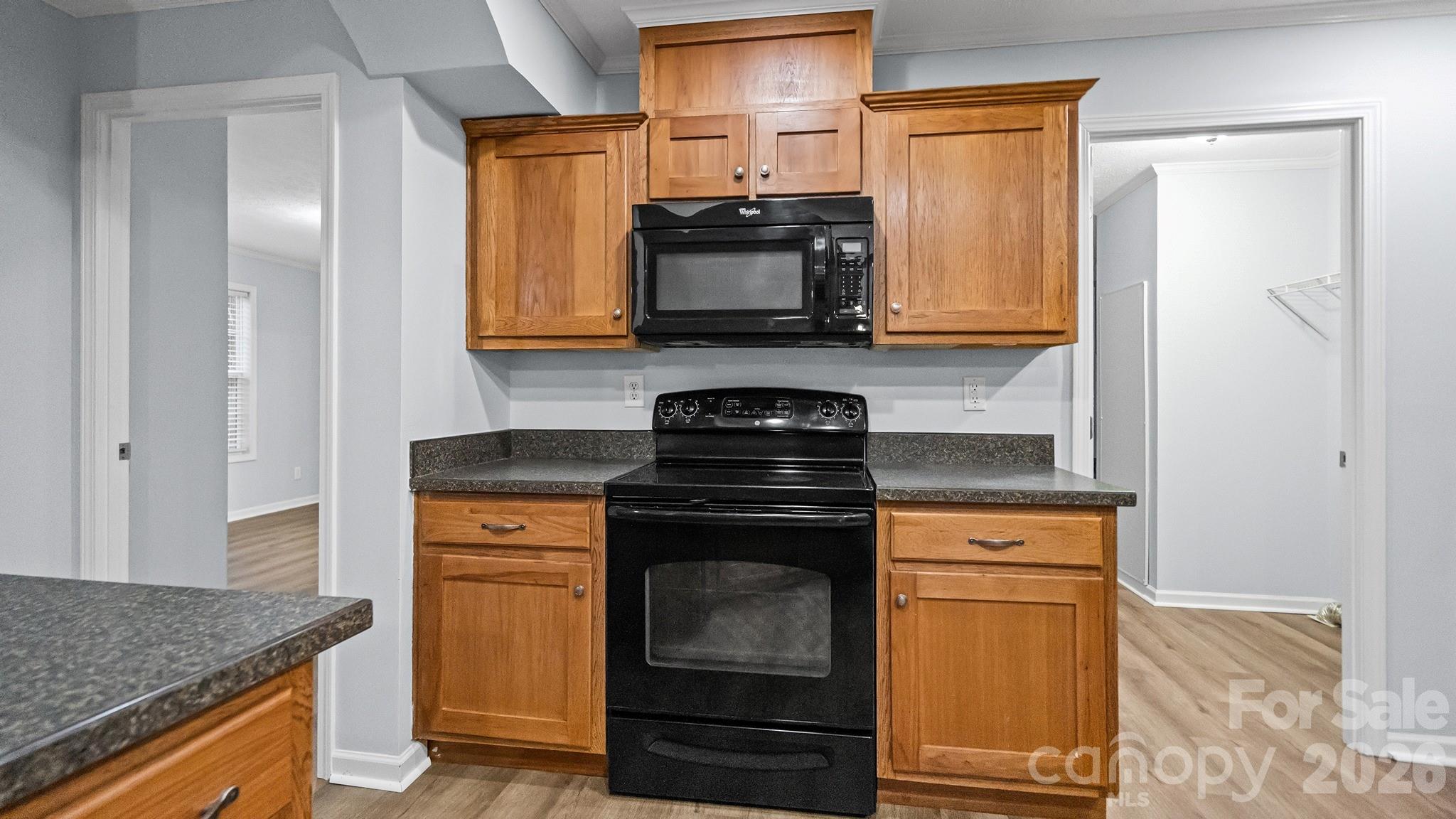 1185 Galway Lane Property Photo 12