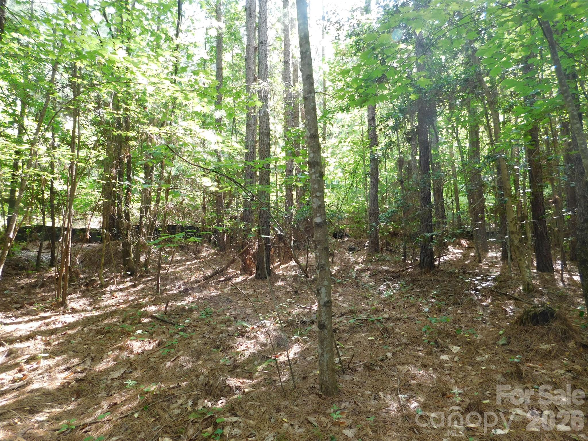 207 W Settings Boulevard Property Photo 1