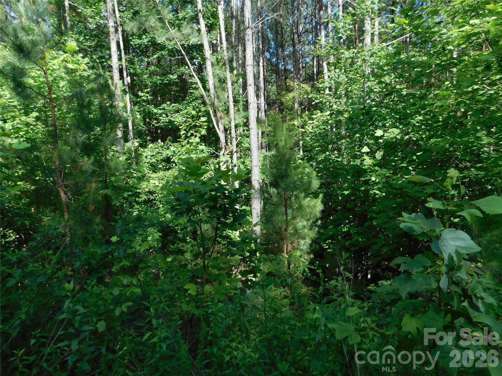 207 W Settings Boulevard Property Photo 3