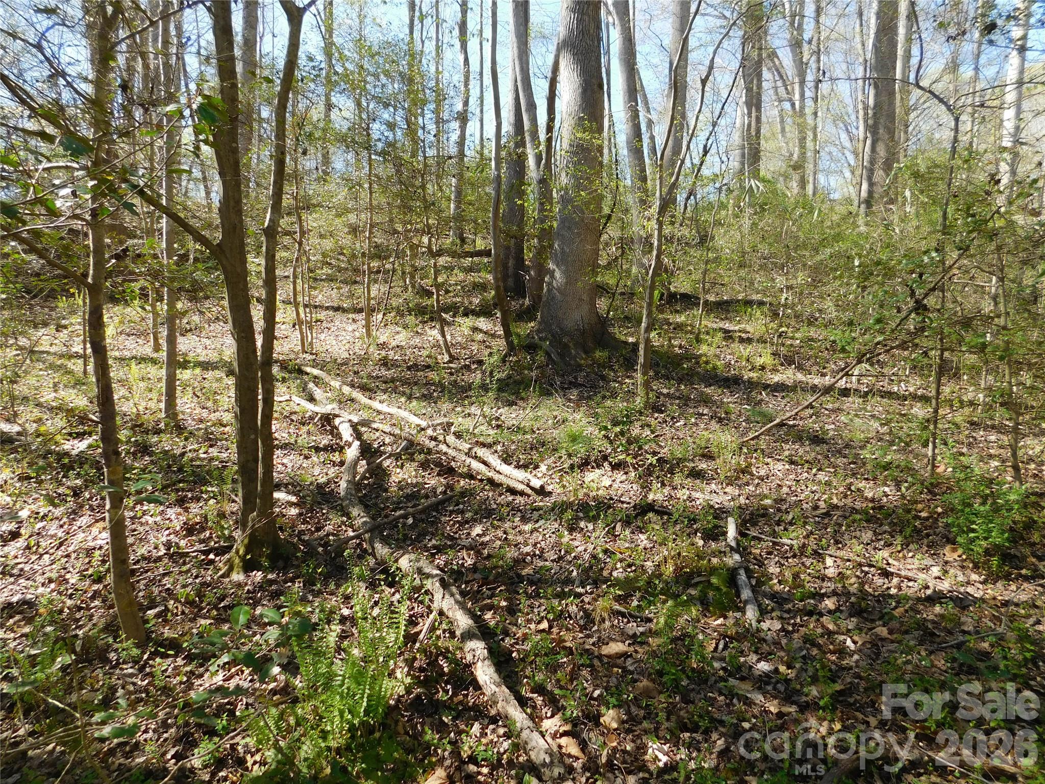 3242 Hwy 73 Highway Property Photo 3