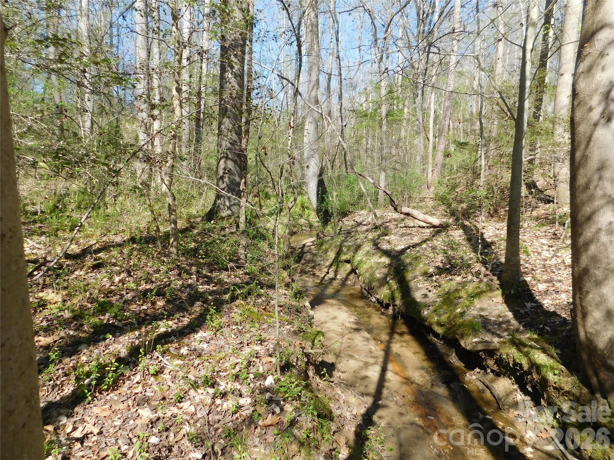3242 Hwy 73 Highway Property Photo 4