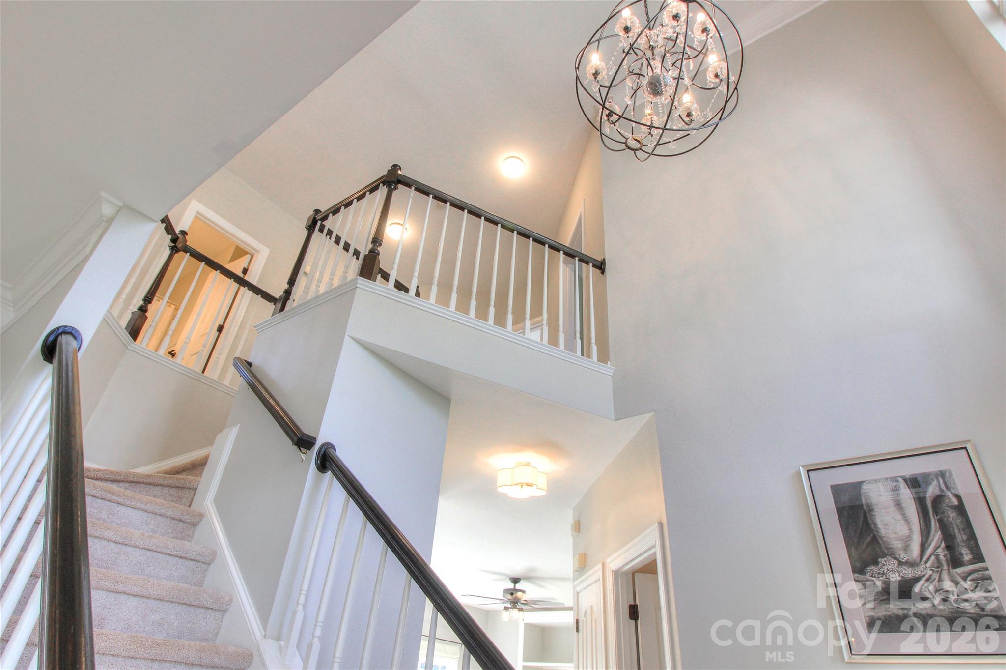 8414 Bampton Drive Property Photo 13