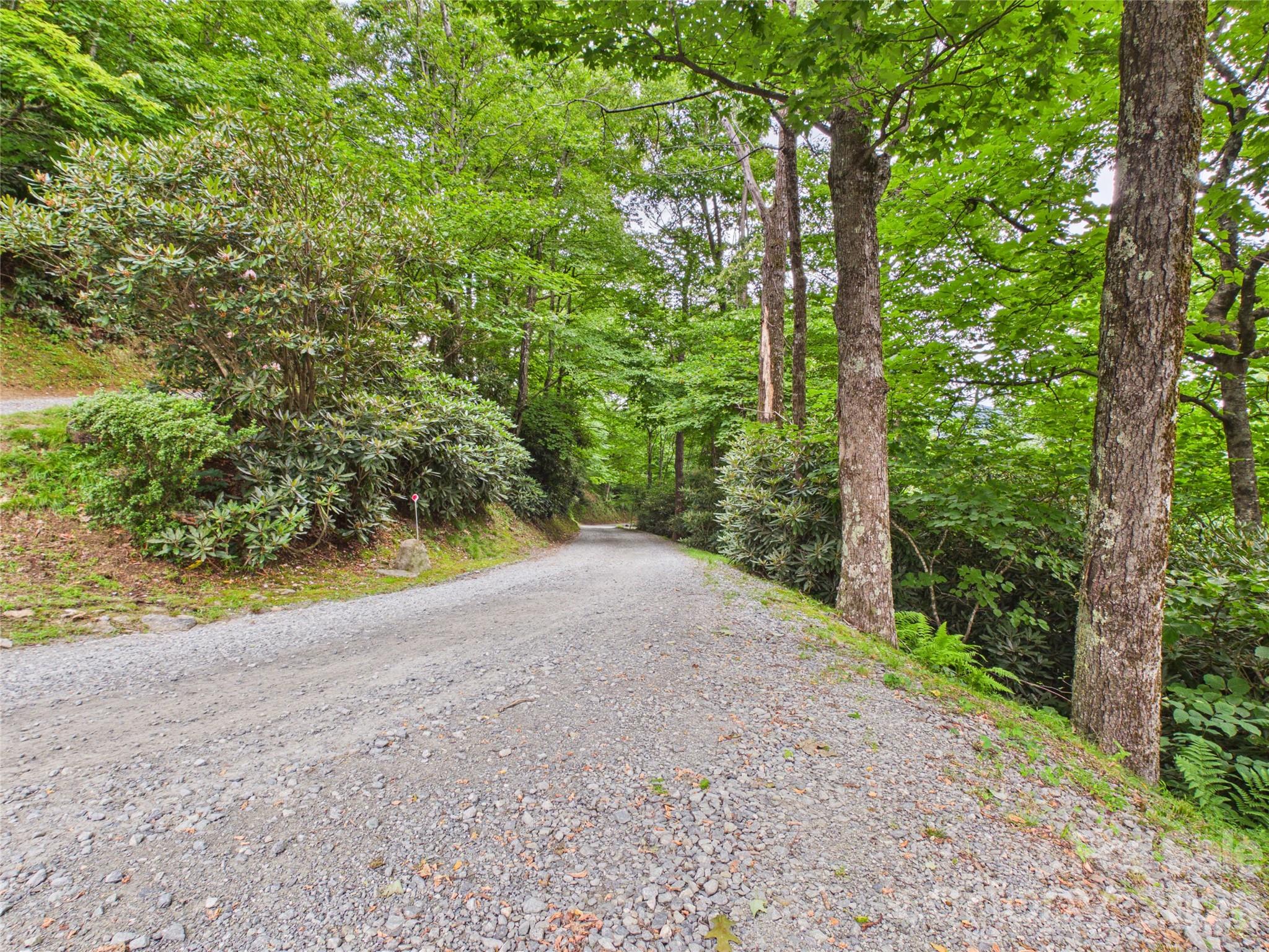 7904 Pinnacle Wind Lane Property Photo 46