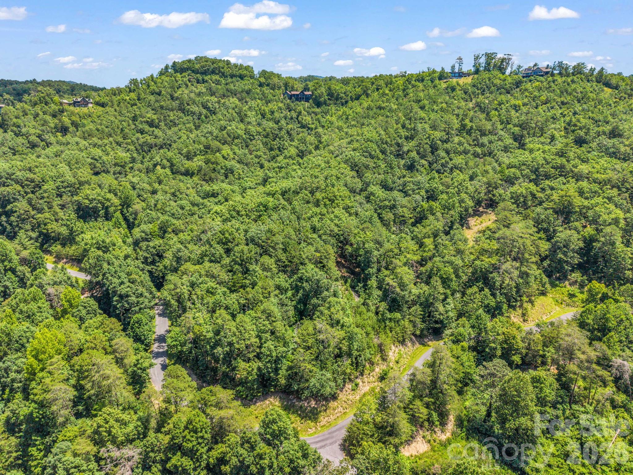 3670 French Broad Parkway Property Photo 5