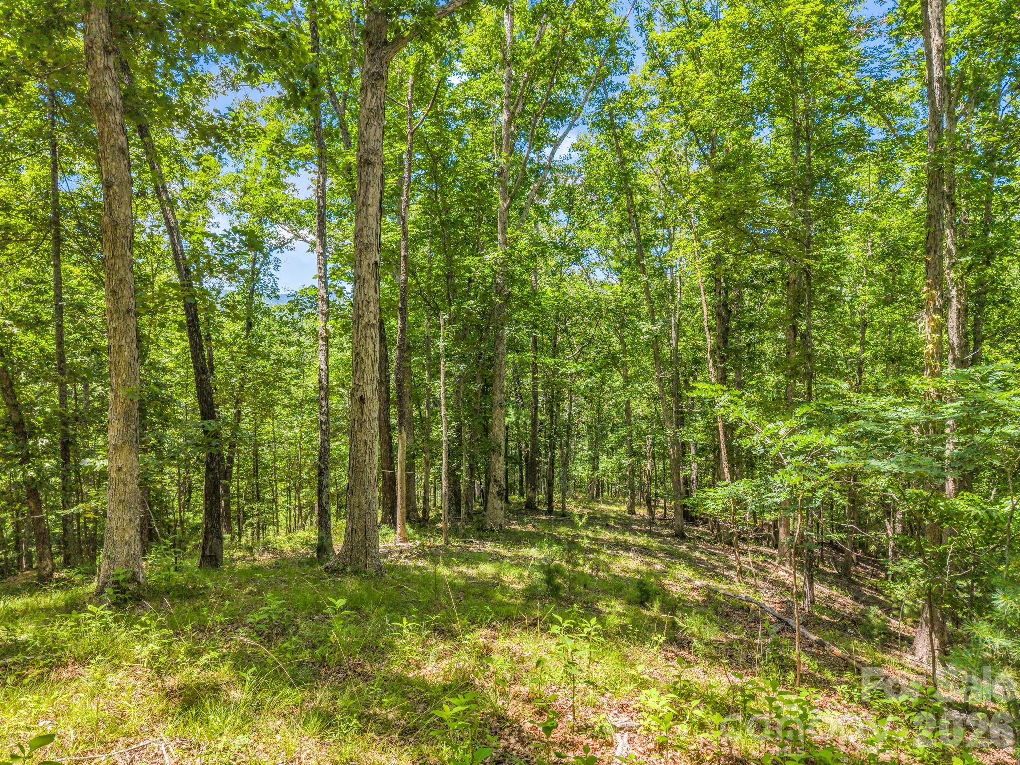 3670 French Broad Parkway Property Photo 6