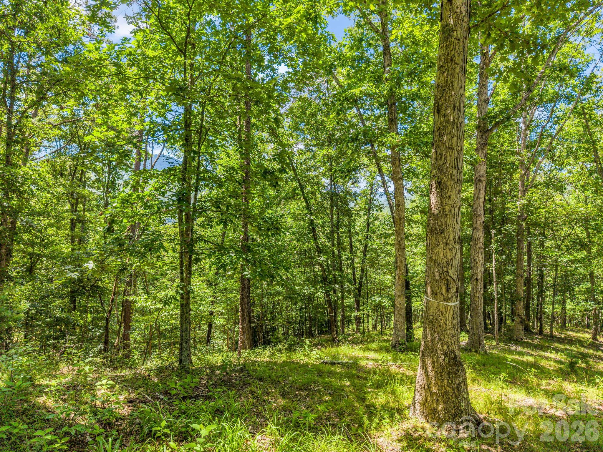 3670 French Broad Parkway Property Photo 7