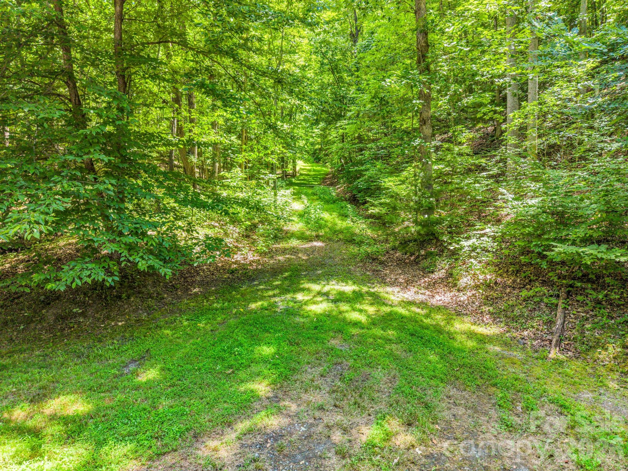3670 French Broad Parkway Property Photo 8