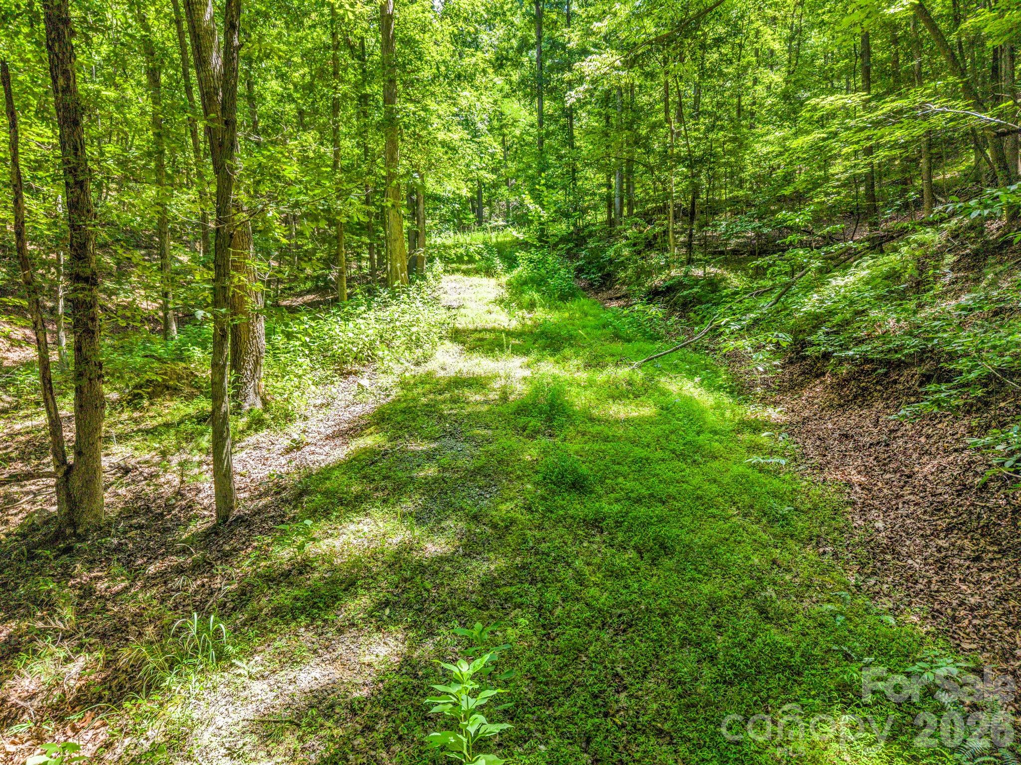 3670 French Broad Parkway Property Photo 9