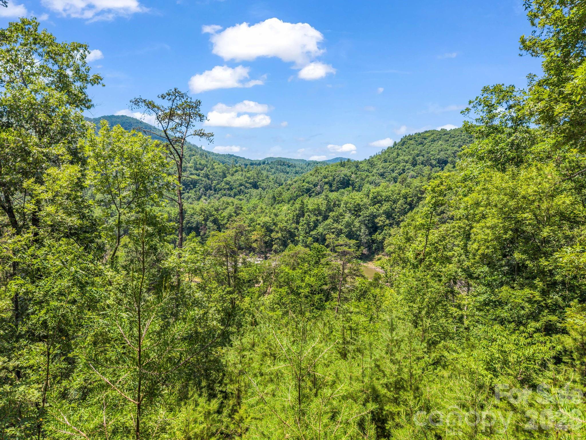 3670 French Broad Parkway Property Photo 10