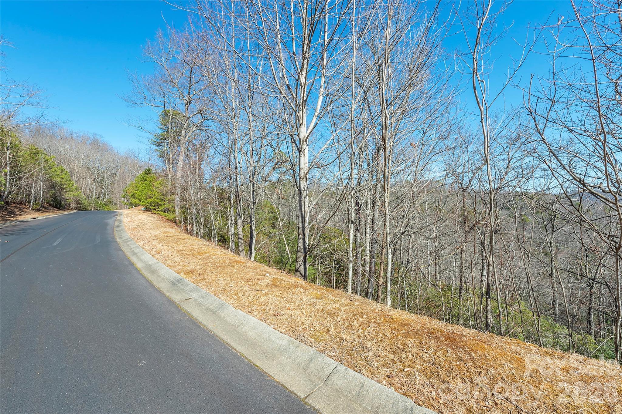99999 Mills River Way 108 Property Photo 4
