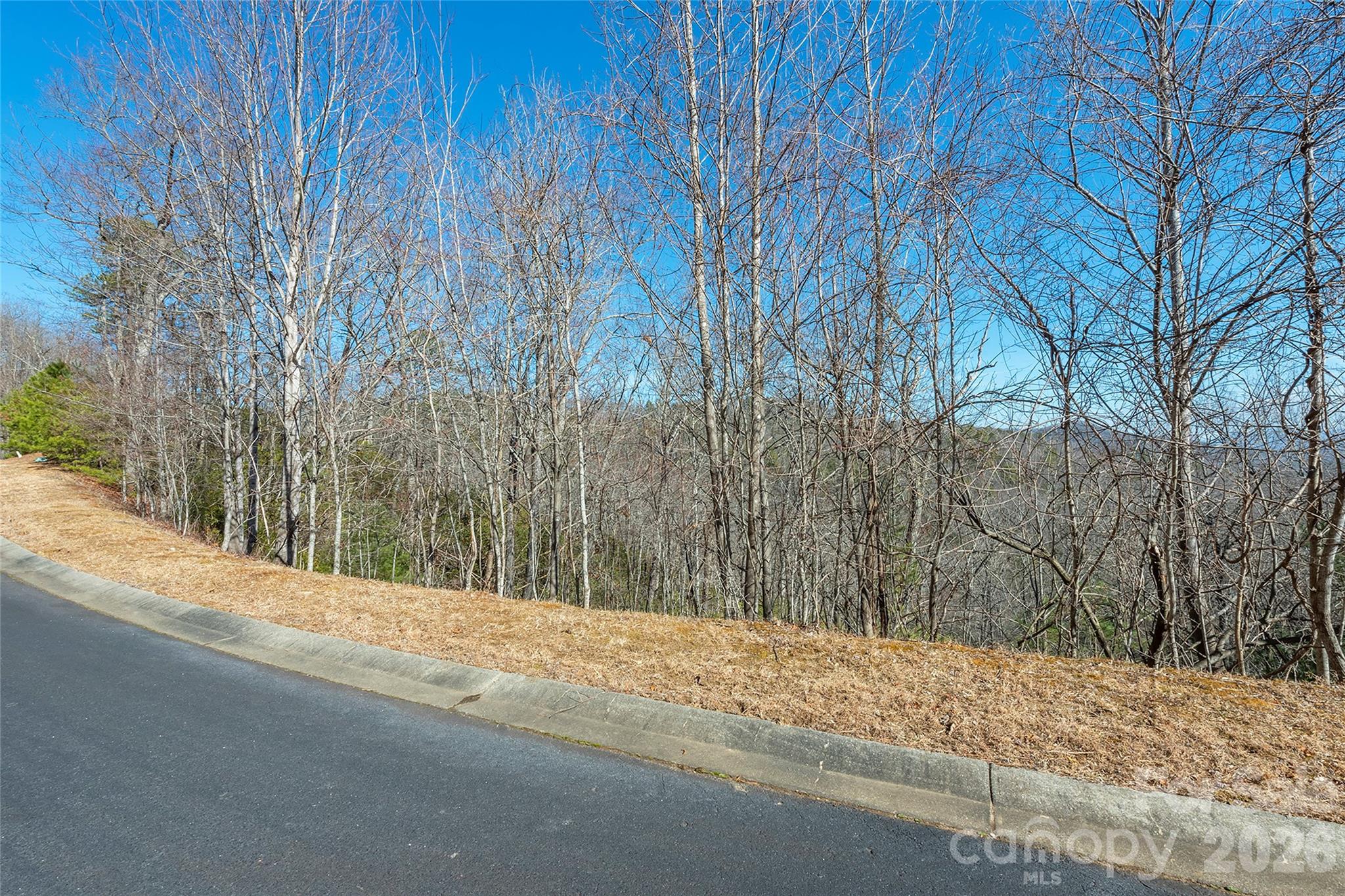 99999 Mills River Way 108 Property Photo 5