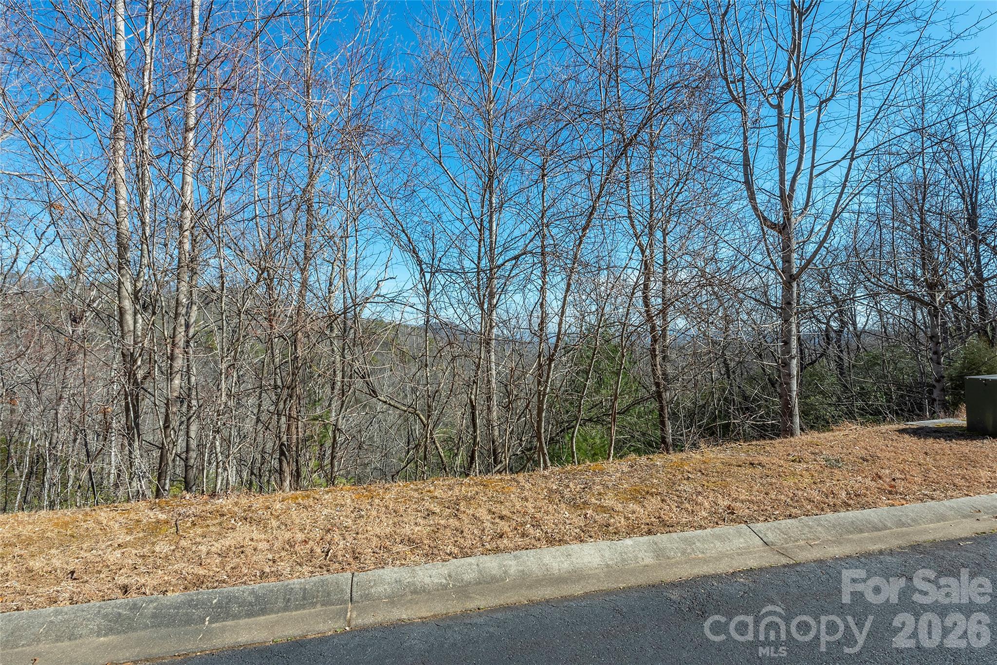99999 Mills River Way 108 Property Photo 6