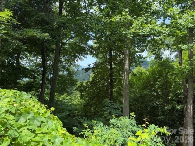 Lot 22 Spring Rock Road Property Photo 1